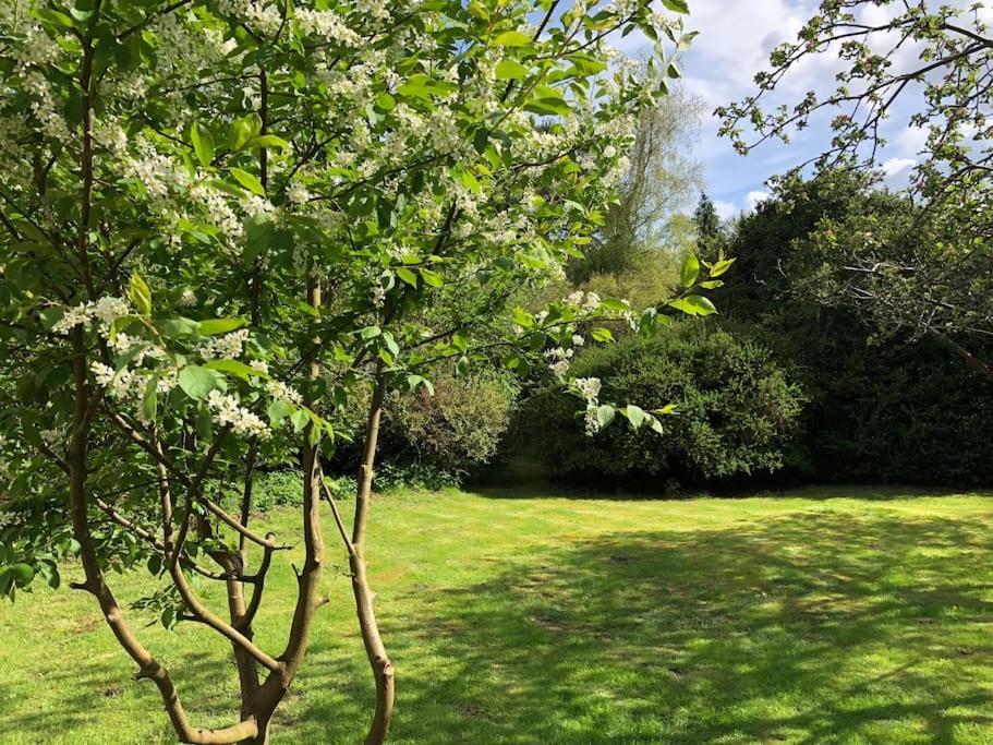 Forestry Cottage. Hot Tub, Open Fire, Dog Friendly Gaywood Exterior foto