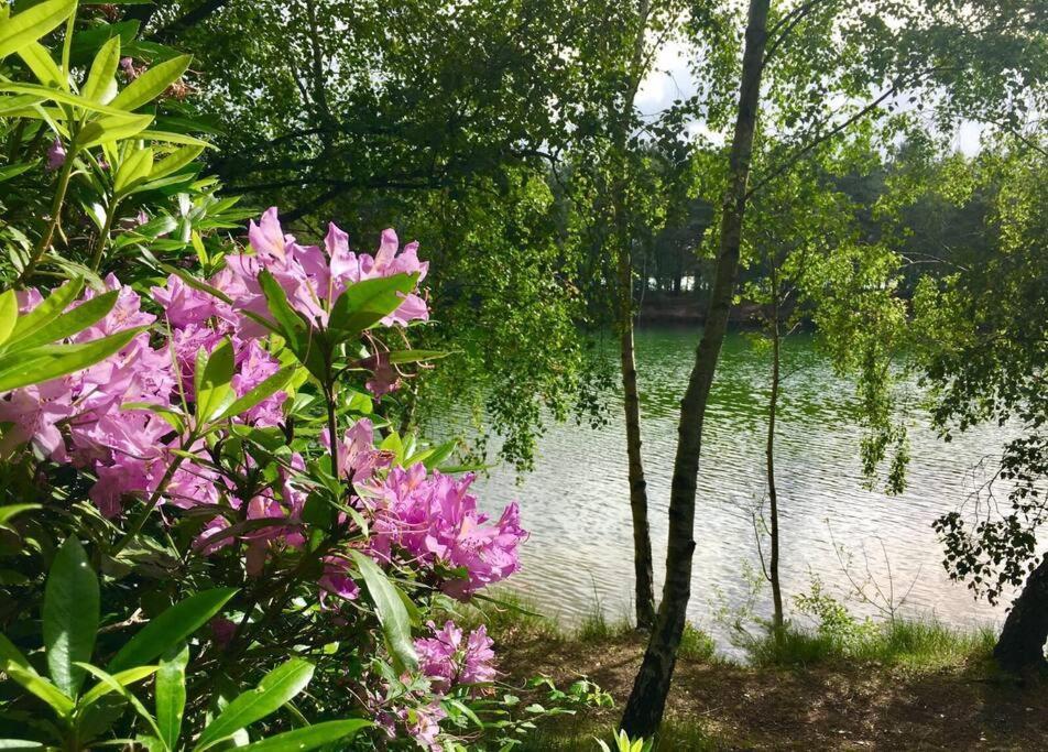 Forestry Cottage. Hot Tub, Open Fire, Dog Friendly Gaywood Exterior foto