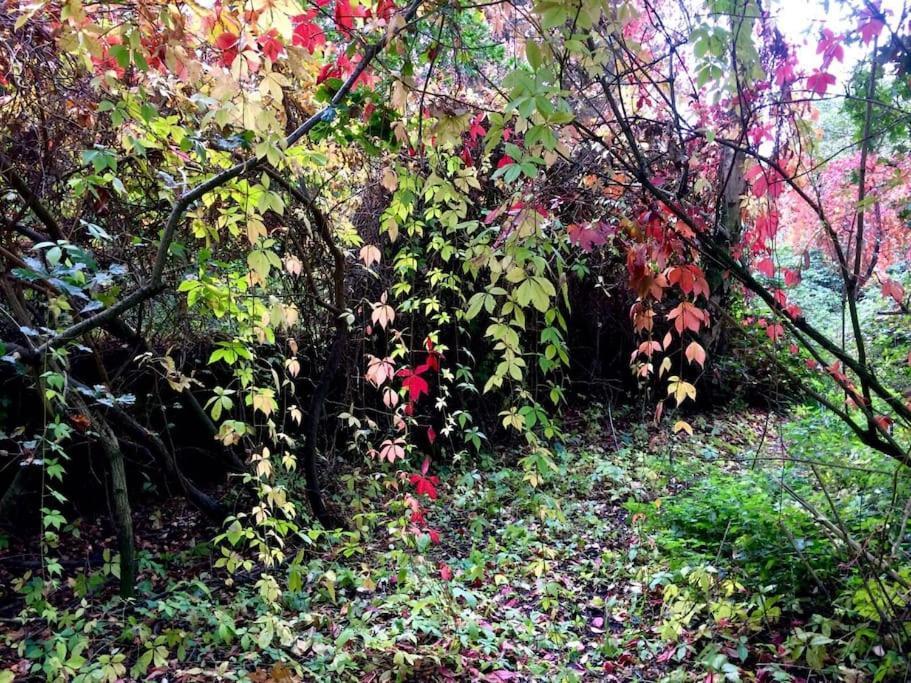 Forestry Cottage. Hot Tub, Open Fire, Dog Friendly Gaywood Exterior foto